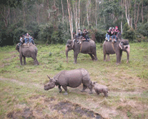 Tourism Activities of Chitwan for Chitwan Tourism Board (CTB)